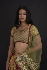 Orange Embellished Lehenga_SUB7854 copy